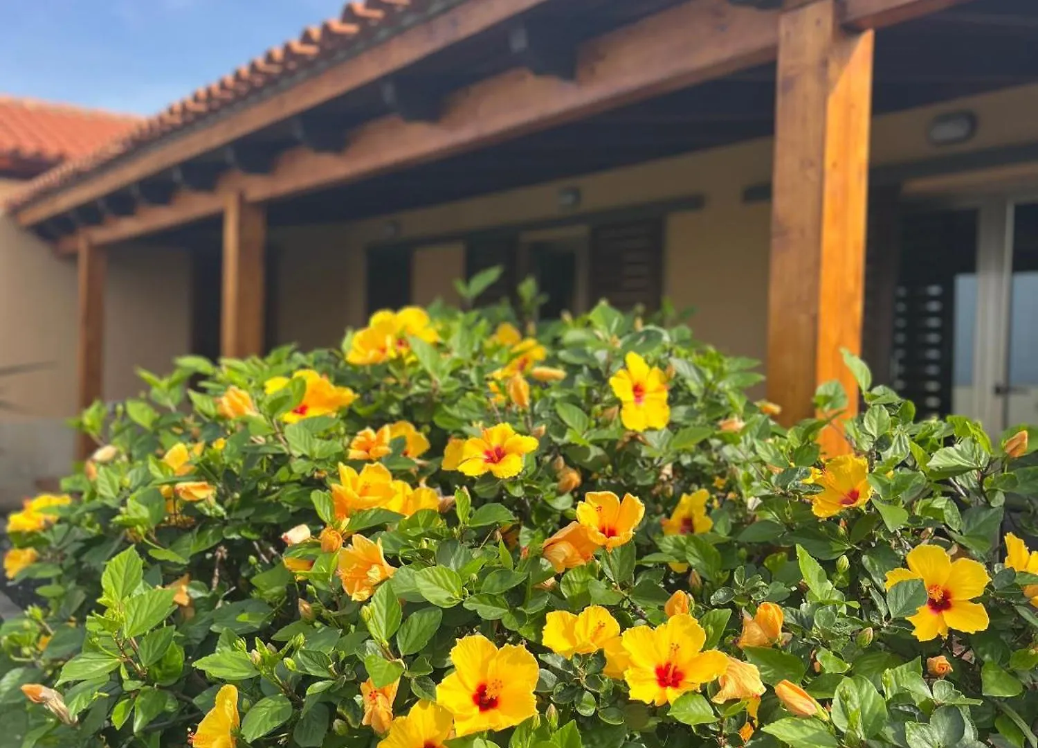 Villa Casa Punta Del Viento Tenerife El Pris